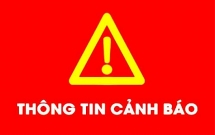 no thu nhap cao de lua ban hang da cap trai phep