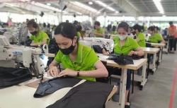 doanh nghiep tim duoc huong di phu hop det may dan soi dong tro lai