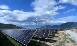 Trungnam Group bất ngờ bán 49% cổ phần dự án điện mặt trời 5.000 tỷ đồng