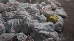 Bắc Ninh: Công ty TNHH Đông Loan bị phạt vì kinh doanh 7,1 tấn lòng lợn bẩn