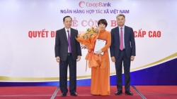 co opbank cong bo quyet dinh bo nhiem nhan su cap cao