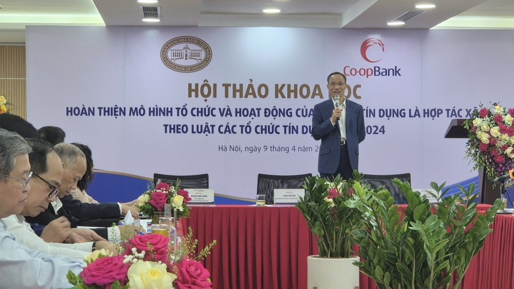 Quy mô tổ chức tín dụng là hợp tác xã còn rất nhỏ trong hệ thống ngân hàng