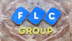 hang loat doanh nghiep bi xu ly vi pham thi truong chung khoan