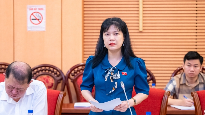 Đề xuất sửa 48/98 điều của Luật Bầu cử ĐBQH và đại biểu HĐND