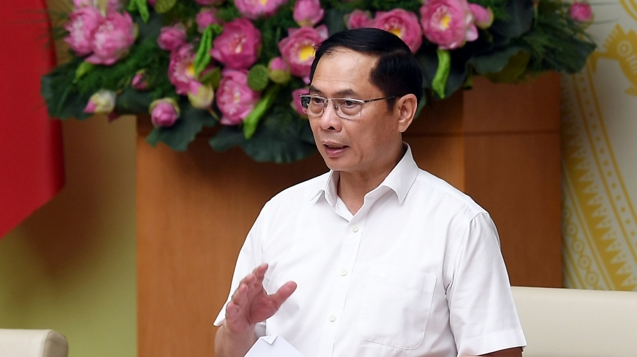Phó Thủ tướng: Sữa giả, thuốc giả gây bức xúc trong Nhân dân