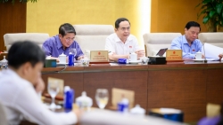 Giám sát hoạt động bầu cử Quốc hội và Hội đồng nhân dân các cấp