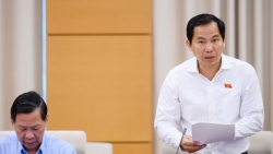 Tình trạng lãng phí, đất đai để hoang còn diễn ra nhiều nơi