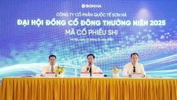 Năm 2025, Sơn Hà (SHI) đặt mục tiêu doanh thu 11.800 tỷ đồng