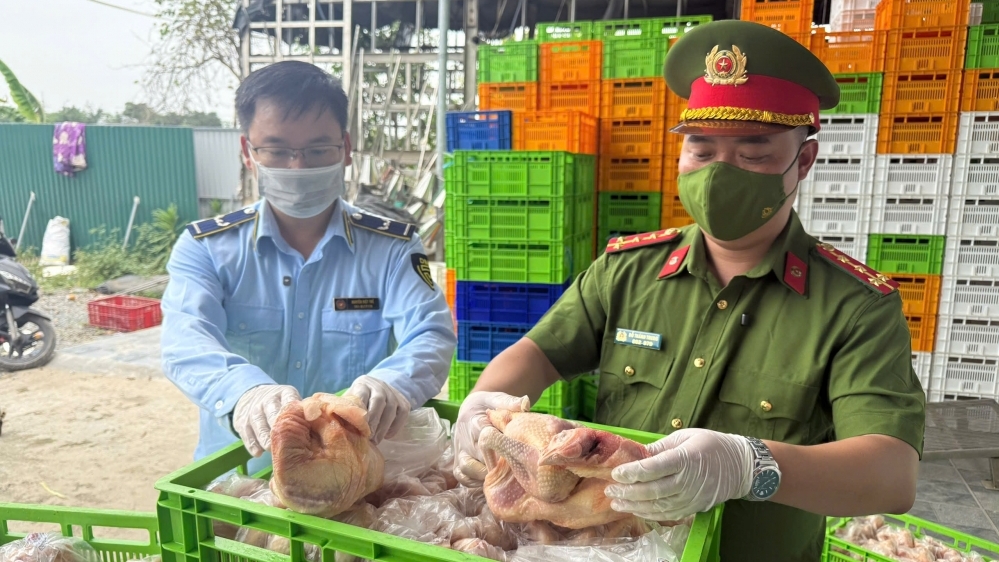 Hàng chục tấn gà đông lạnh không chứng từ tại Công ty Xuân Thắng