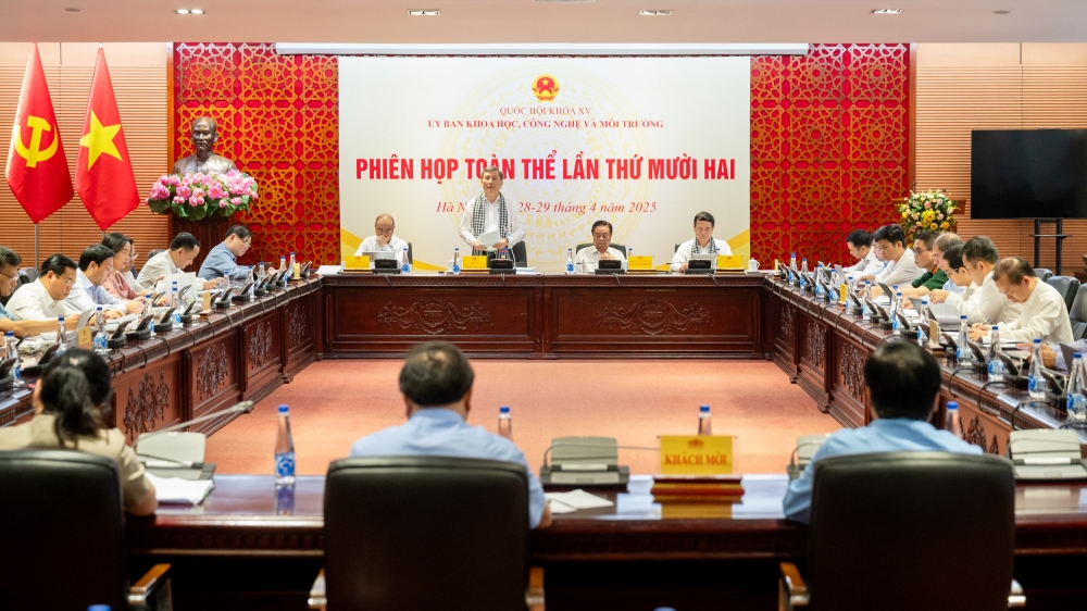 Không để pháp luật trói buộc những ý tưởng sáng tạo