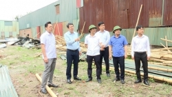 ha noi quyet liet xu ly vi pham dat dai xay dung goc nhin tu hoai duc