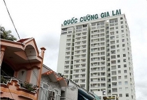 quoc cuong gia lai loay hoay no nan