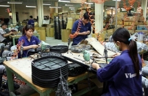 Nhiều vi phạm lĩnh vực chứng khoán, Điện cơ Thống Nhất bị phạt hơn 400 triệu đồng