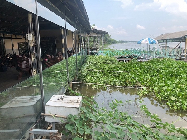 Sau bài học chìm tàu Dìn Ký, loạt nhà hàng vẫn ngang nhiên lấn sông Sài Gòn sau bai hoc chim tau din ky loat nha hang van ngang nhien lan song sai gon