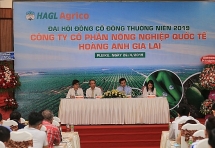 Thương vụ Thaco mua 69,7 triệu cổ phiếu của Công ty Bầu Đức