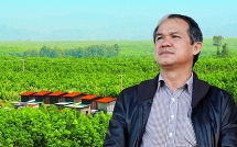 Một doanh nghiệp chi hơn 600 tỷ đồng mua cổ phần công ty bầu Đức