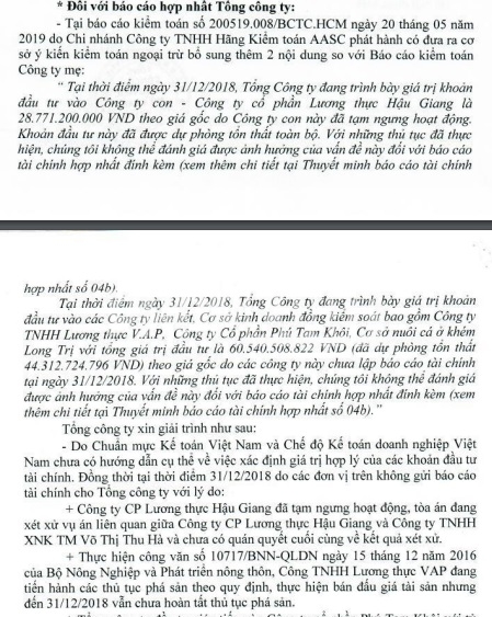 vinafood 2 nguy co mat hang chuc ty dong tien dau tu vao cac cong ty con