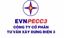 evn muon ban het co phan tai evnpecc3 gia gan gap doi thi truong