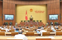 ho kinh doanh can luat rieng hay dua vao luat doanh nghiep