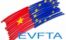 Giải pháp giúp doanh nghiệp tận dụng tối đa cơ hội từ Hiệp định EVFTA