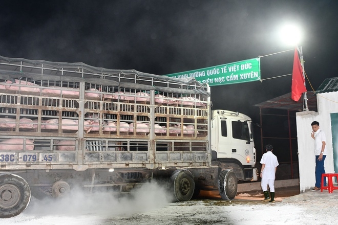 viet nam co the cho nhap khau lon song