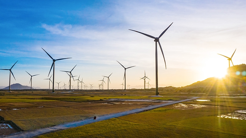 Trungnam Group bán hơn 35% cổ phần nhà máy điện gió cho đối tác Nhật Bản