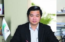 hai sep cua hagl agrico va cong ty co phan cmc bi phat vi pham giao dich co phieu