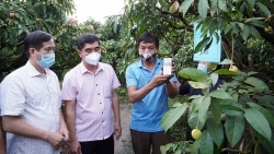 bo cong thuong ra chi thi go tac cho xuat khau tieu thu nong san