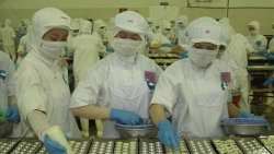 Khẩn trương trình giải pháp miễn giảm thuế phí hỗ trợ doanh nghiệp lâm nghiệp, thủy sản