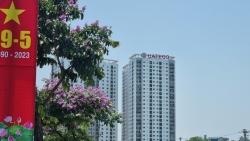 Hàng loạt công trình "phớt lờ" phòng cháy chữa cháy, gọi tên chung cư Hateco Hoàng Mai