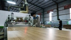 Hơn nửa triệu lao động bị ảnh hưởng vì cắt giảm đơn hàng: Thủ tướng chỉ đạo "nóng"!