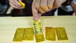 Giá vàng vẫn tăng “phi mã”: Nghịch lý của giải pháp đấu thầu vàng