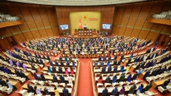 Quốc hội khóa XV họp kỳ thứ 7