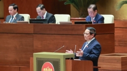 cai cach bo may khong lam nua voi ma phai lam den cung