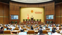 ngay 95 quoc hoi thao luan viec sua luat thue tieu thu dac biet