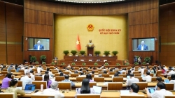 gian lo trinh giam muc tang thue tieu thu dac biet voi ruou bia