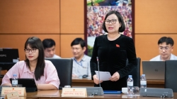 kien nghi phan cap triet de cho tinh phe duyet nhiem vu quy hoach tinh