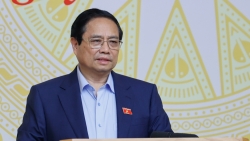 Thủ tướng: Có sự buông lỏng trong các vụ án sữa giả, thuốc giả