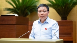 hang loat co che dac thu tao don bay cho kinh te tu nhan