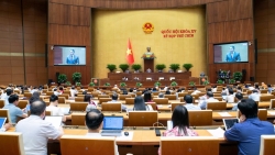 noi long dieu kien nhap quoc tich va tro lai quoc tich viet nam