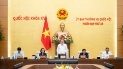 viec tam ung kinh phi tra che do cho can bo nghi viec duoc lam rat nhanh