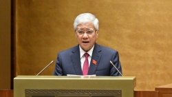 trinh quoc hoi sap xep cac to chuc trong mat tran to quoc