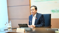 tranh co che xin cho khi chi dinh thau du an nha o xa hoi