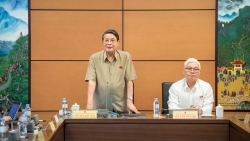 tinh toan kha nang can doi ngan sach khi giam 2 thue vat