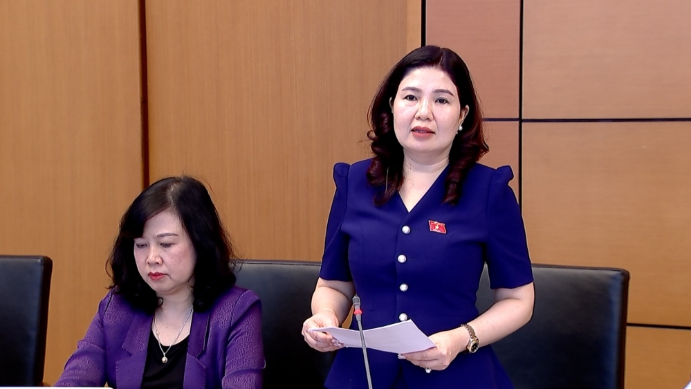 Đại biểu Quốc hội đề xuất miễn thuế đất nông nghiệp đến 2035