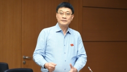 can giai phap can co de gia vang khong nhay dien loan