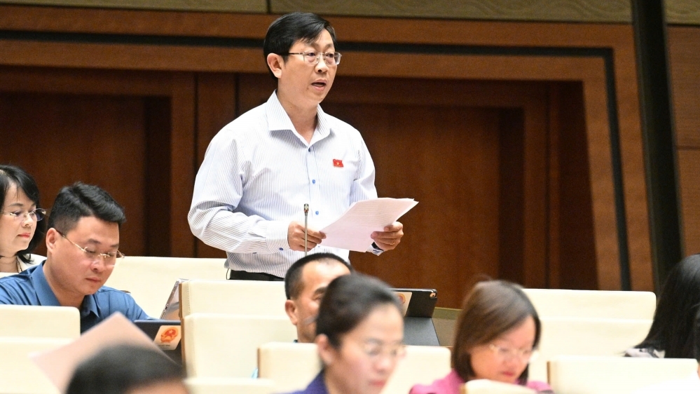 “Gỡ tội” cho “ông đấu thầu”