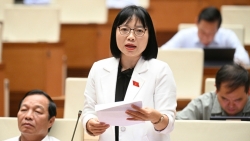 Cần quy định cụ thể việc giao thẩm quyền cho TAND khu vực