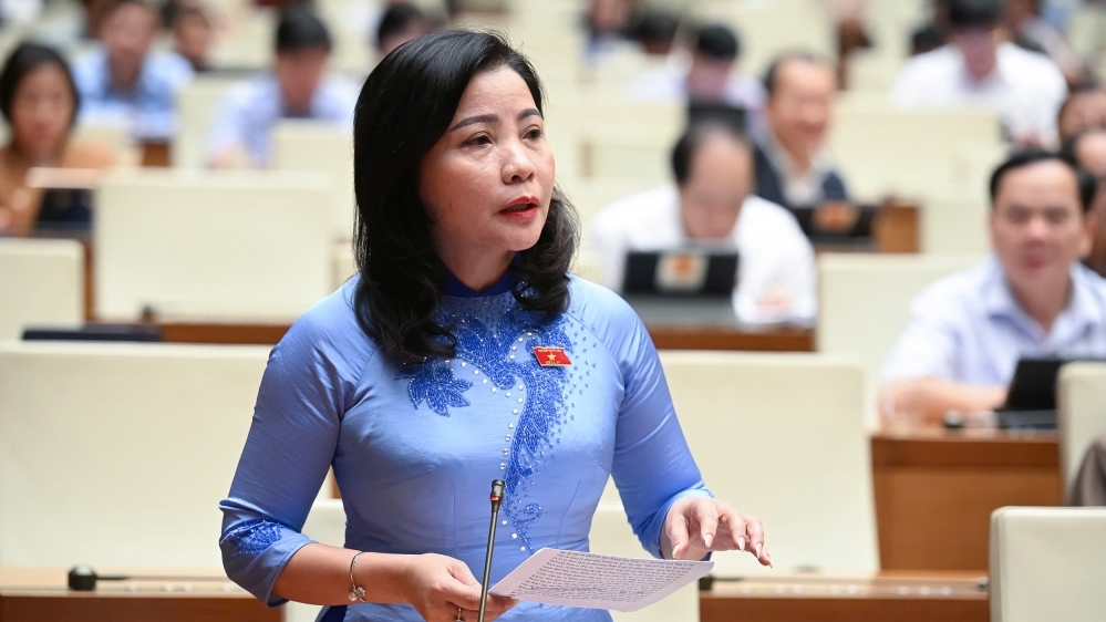 Đại biểu Quốc hội: Không nên nhân đạo với thuốc giả, thực phẩm giả