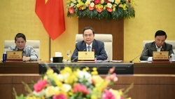 co the cap phep xay dung nha o xa hoi trong 30 50 ngay